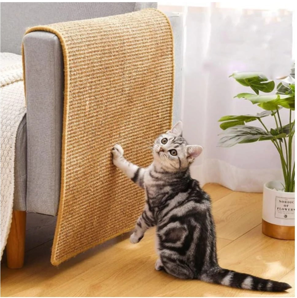 How to Keep Your Cat From Scratching Your Furniture Pottycats