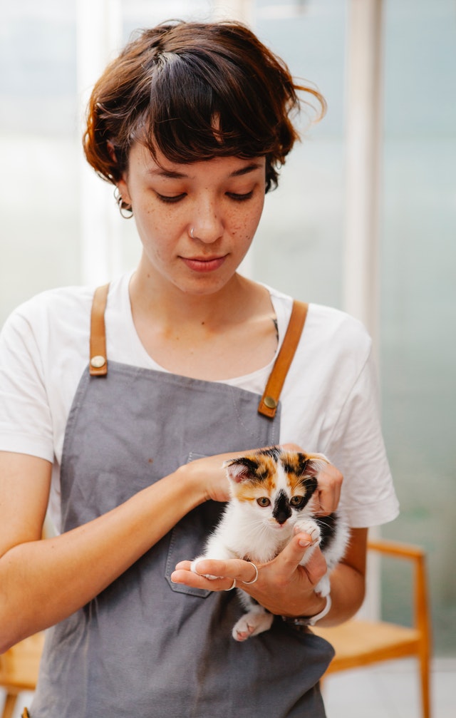 Best Ways To Give A Pill To Your Cat Pottycats