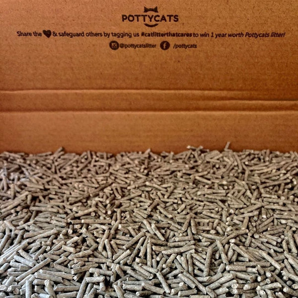 Pottycats natural cat litter in Charcoal