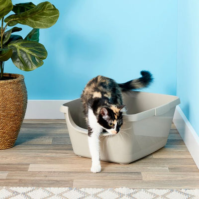 Calico cat walking out from the open litter box