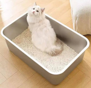 Why Some Cats Don’t Cover Their Poop or Pee?