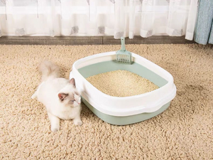 How to Stop Cats From Peeing Outside of the Litter Box