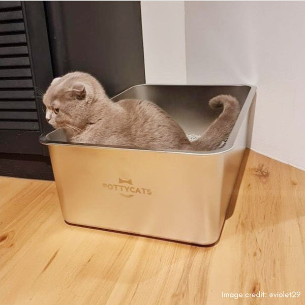 Why Pottycats Stainless Steel Cat Litter Box is the Safer Choice?