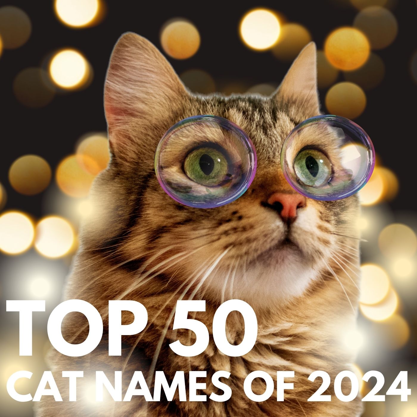 top 50 cat names of 2024