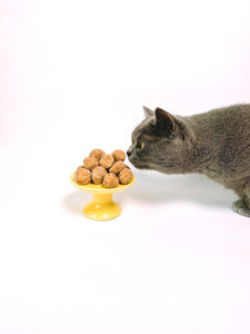 Should You Change Your Cat’s Food as They Grow?