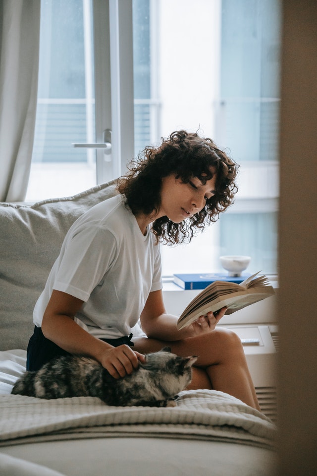 How to CatProof Your Apartment Balcony Pottycats