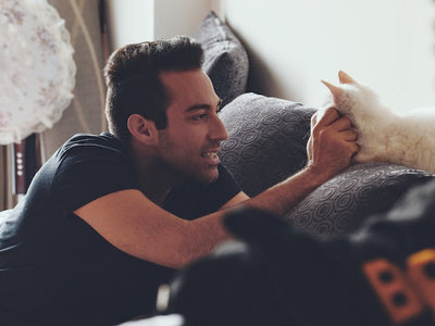 Why Cats Wake Us Up Every Day?