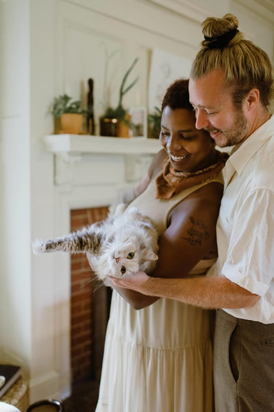 10 Best Gifts for Cat Parent