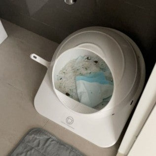 cat not covering poop in litter box