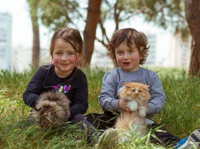 How can using plant-based cat litter benefit the earth?