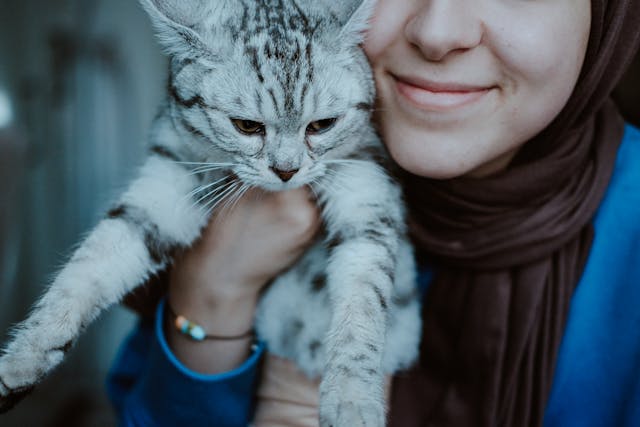 Post-Raya Holidays Cat Care