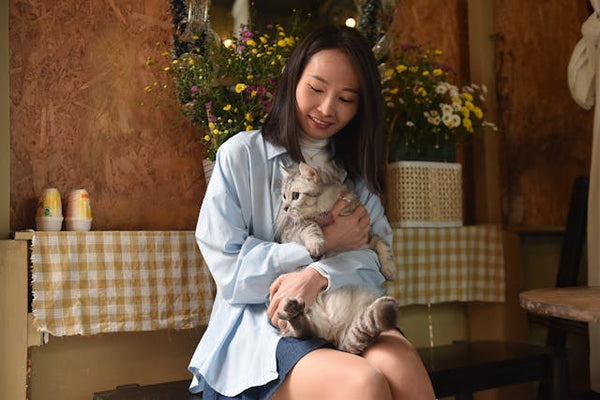 Top 10 Flowers Safe for Cats