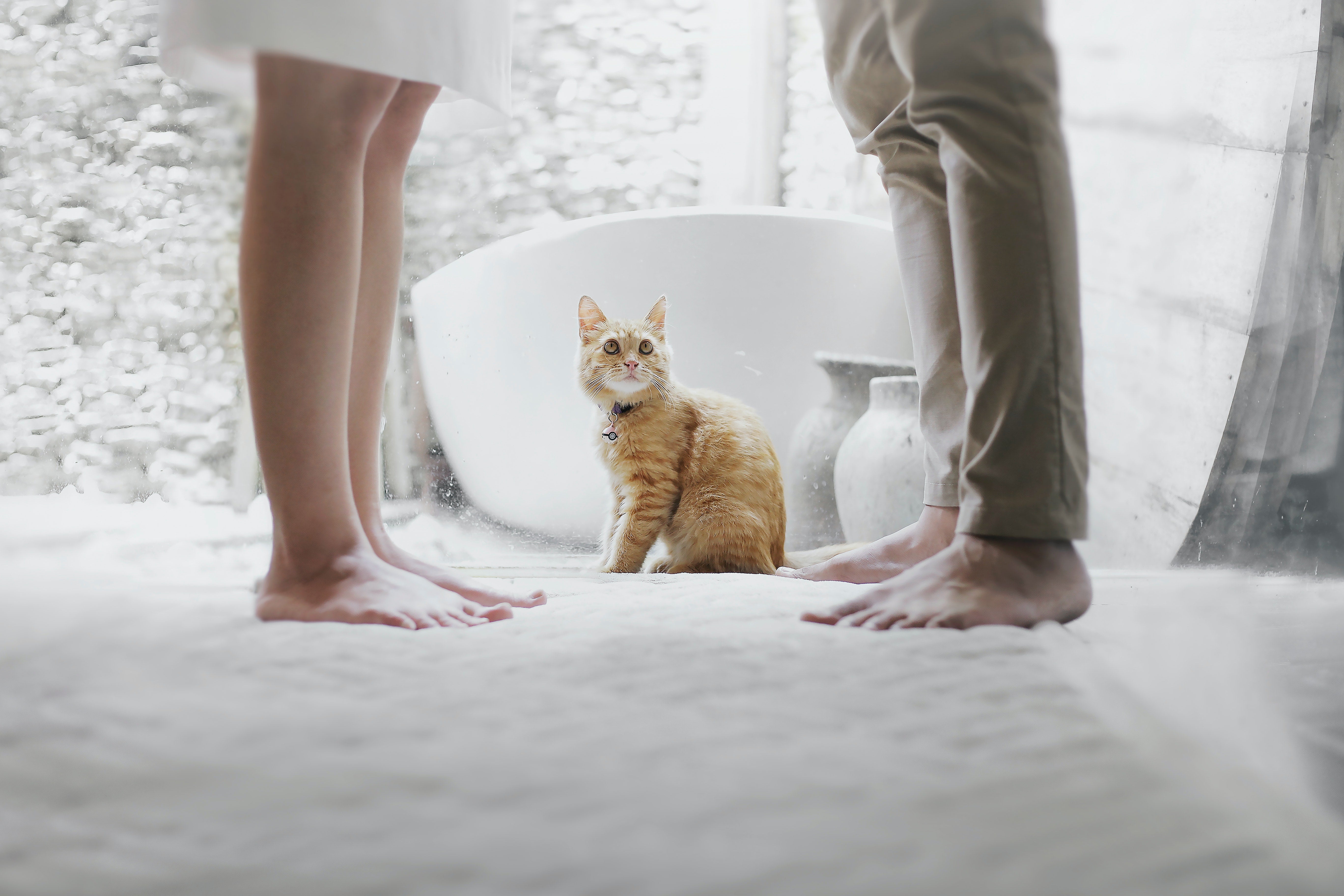 Why Some Prefer Pets To Having Kids?