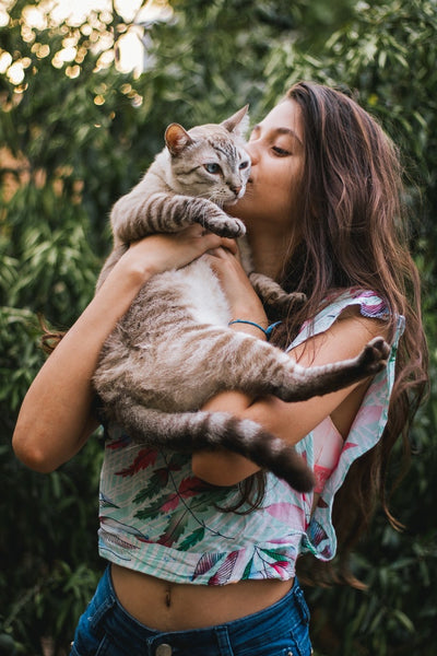 Confessions of a cat parent