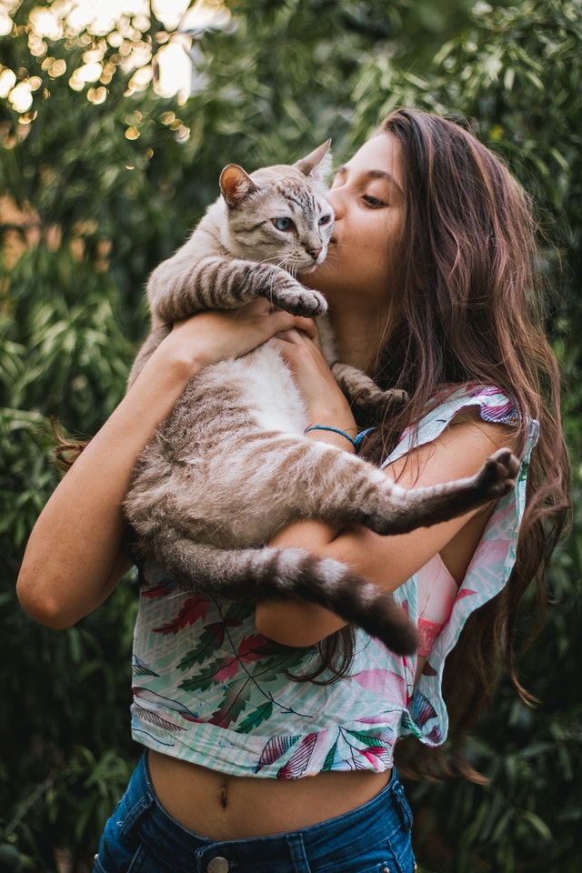 Confessions of a cat parent