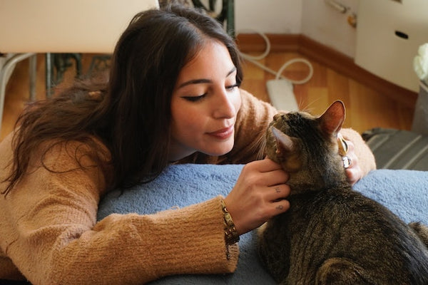 How to bond with your cat in 8 steps