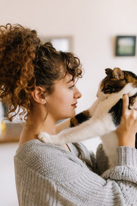 Why cats make better pets?