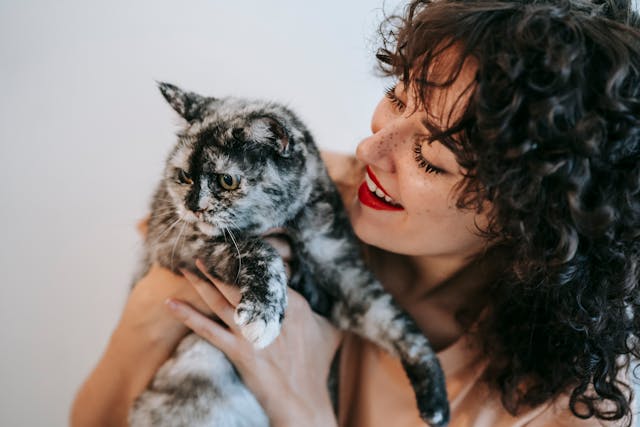 How to Make Your Cat More Affectionate?