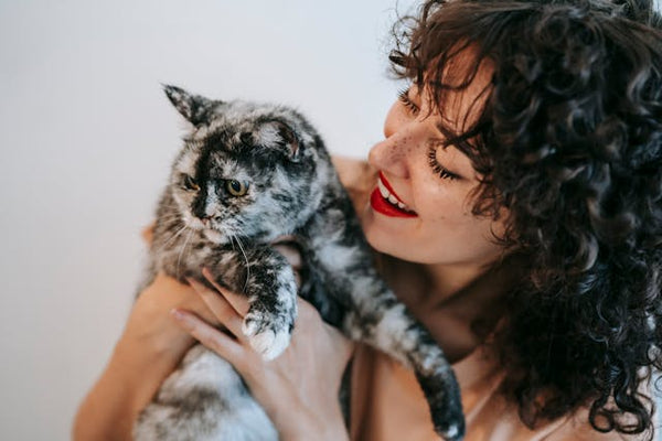 How to Make Your Cat More Affectionate?