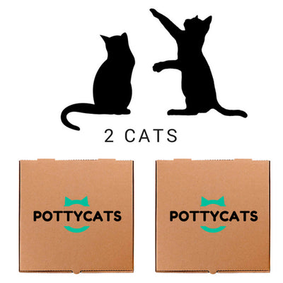 Double Cats Family
