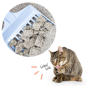 Potty cat deals
