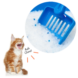 kitty litter, best cat litter, cat house, cat supplies, cat toilet, cat litter box, flushable, biodegradable, cheap cat litter, clay clumping, sensitive cats, litter sand, cat litter odor control, non tracking litter, non dusty, delivery within Malaysia 