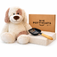 Pottycats Warm Plushie Set
