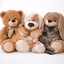 Pottycats Warm Plushie Set