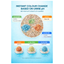 Pottycats Urine pH Test
