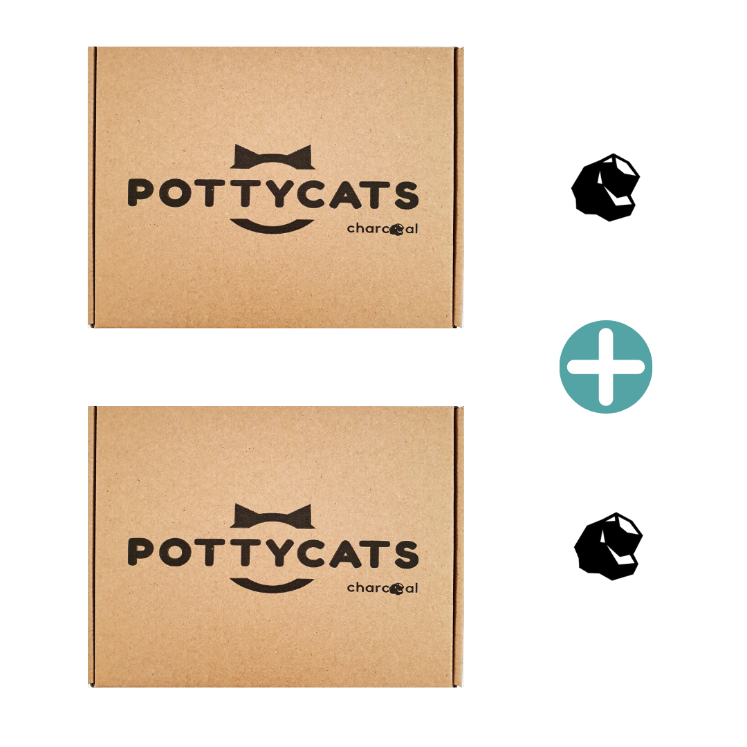 Pottycats natural cat litter in Charcoal