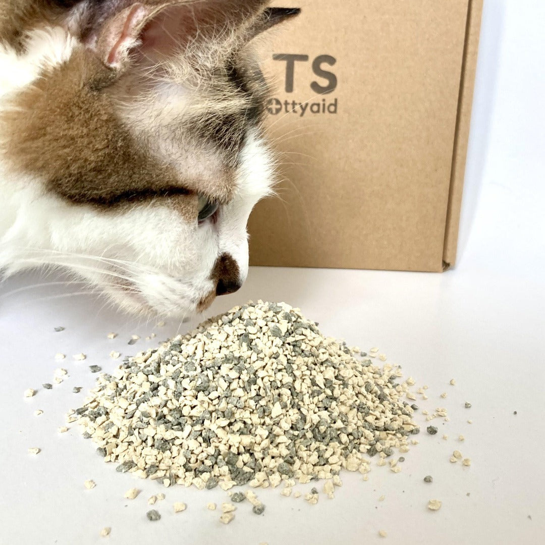 Pottyaid potty training cat litter for kittens and adult cats