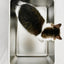 PottyBox stainless steel cat litter box
