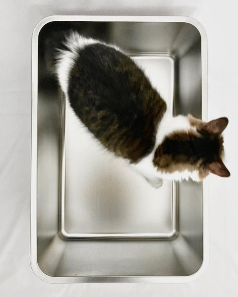PottyBox stainless steel cat litter box